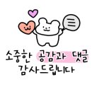 운동화이불솜빨래방 이미지