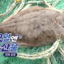 포항참가자미