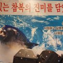 서부광고 - 제천시 | 서부광고
