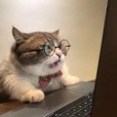 내로라 생활안전 | [어학연수 준비과정] 캐나다, 미국 어학연수 준비 | 유학원 추천 | 솔직후기