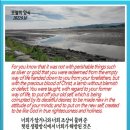 오늘의양식 네이버블로그
