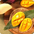 망고 - 여수시 화산로 125 | 망고