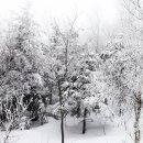 운주목장 이미지