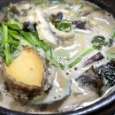 벌떡 장어 이미지