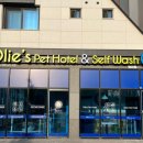 올리스24 명지점 이미지