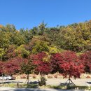 무릉 | 무릉계곡 두타산 초보 등산 후기