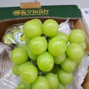 호성상회