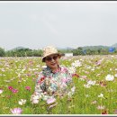 안산 화랑 유원지 이미지