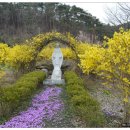 사랑감(용사만회)마을 이미지