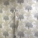 아나파적맥통증의원 이미지