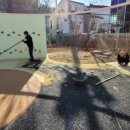 대영초등학교 이미지