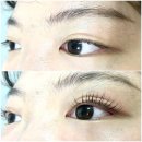더셀뷰티