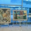 원미고등학교 이미지