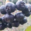 강소농장 이미지