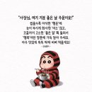 하루 한숟가락으로 챙기는 항염 식품 7 이미지