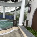 스플라스리솜 이미지