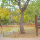 세븐일레븐 대구중리체육공원점 이미지