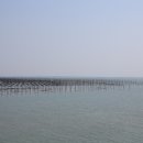 비금농업협동조합 이미지