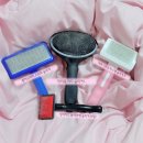 루루퍼피 | 강아지 슬리커빗 추천｜예민한 부위 브러싱은 실버라인 블랙라벨로 끝!