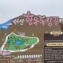 현재목장 | 👉 4월 11일 서산 벚꽃 개화 상황🌸 서산한우목장웰빙산책로 현재 상태 후기 (+서산동부시장,카페만조)