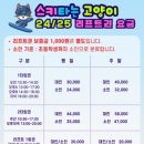 스키타는고양이 이미지