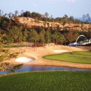 (주)골드오션 이미지