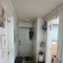 화신로-1 이미지