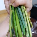 RED텔레콤 이미지