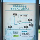 제주 돌문화공원 제주 동쪽 가볼만한곳