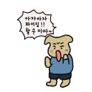 훈장군 대형세차 | 운전병에서 배차계원으로, 24년 전역자가 알려주는 후기
