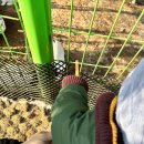 도토리 강아지 유치원 이미지