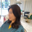 포유헤어 이미지