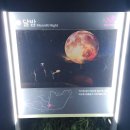 나래영상 | [부천 가볼만한 곳] 루미나래 도화몽 후기｜늦은 시간에도 즐기는 야간 미디어아트