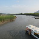 갈대이야기 이미지