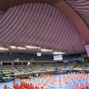 하단태권도체육관 이미지