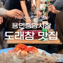용인중앙시장 | 용인) ‘도래창 맛집’ (내돈내산, 용인중앙시장 5일장 도래창, 중앙시장 주차 및 웨이팅 후기)