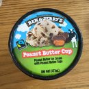 컵앤도우 | 벤앤제리스 초콜릿칩쿠키도우, 피넛버터컵 파인트 1+1 후기 맛비교 칼로리
