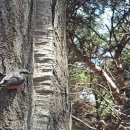 상록여관 이미지