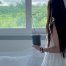 백화stay 이미지