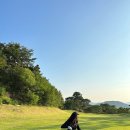 신동파인힐스 | 대구 근교 파3 칠곡 왜관 골프 : 아이리스 (후기) / 신동파인힐스 (비교)