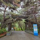 【충북 걷기】 괴산댐 호수 따라 괴산 산막이옛길 걷기 후기