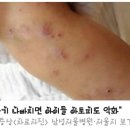 헤드셋으로 맑은공기와 산소를.. 이미지