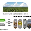 이팜사팜