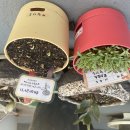 다은네일 이미지