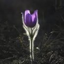 행복 원로의집 이미지