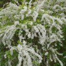 꽃편지길 이미지