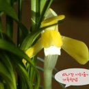 휴일의 아침 이미지