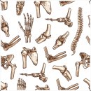 21세기경희한의원 | 관절통증 추나요법 통해서 개선할 수 있어요