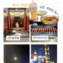 한국동그라미파트너스주식회사 | 2025.2월"상하이 3박4일 여행 완벽정리 | 맛집·쇼핑·꿀팁 솔직후기"