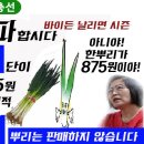 대파 한뿌리는 판매하지 않습니다 이미지